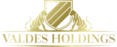 Valdes Holdings